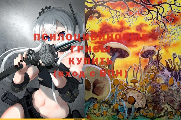 метадон Алзамай