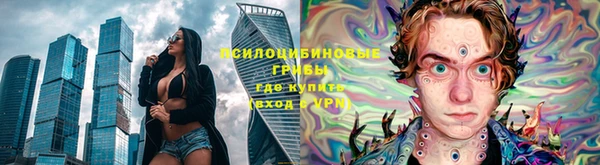 гашик Нязепетровск